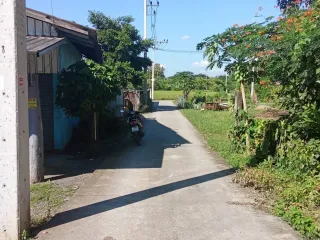 For sale land in San Kamphaeng, Chiang Mai