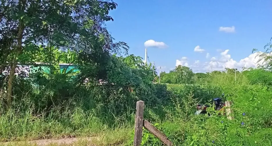 For sale land in San Kamphaeng, Chiang Mai