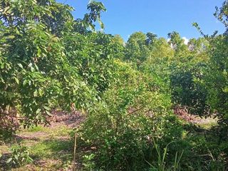 For sale land in San Kamphaeng, Chiang Mai