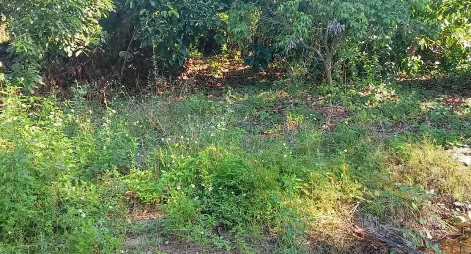 For sale land in San Kamphaeng, Chiang Mai