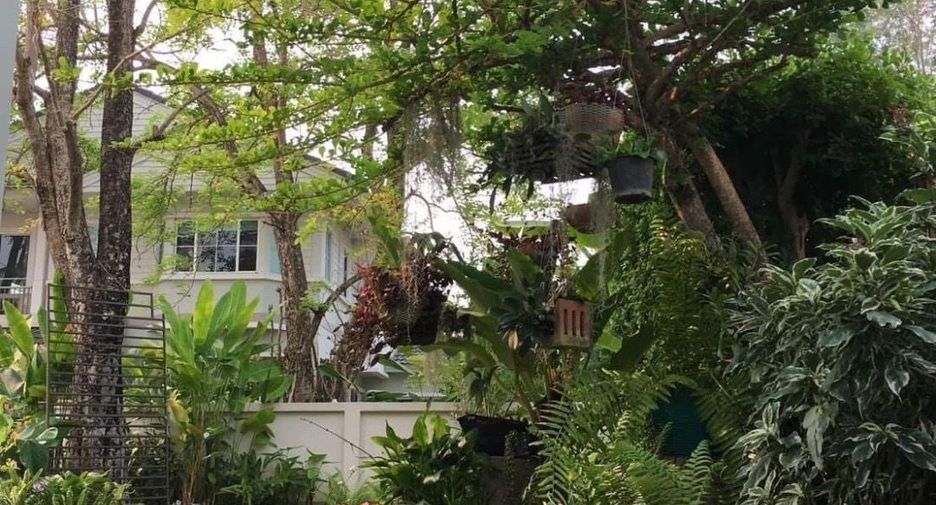 For rent 3 bedrooms house in San Sai, Chiang Mai