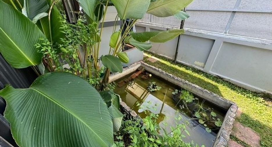 For rent 2 bedrooms house in Mae Rim, Chiang Mai