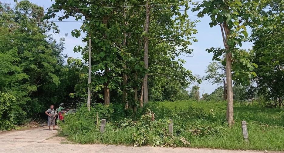 For sale land in Doi Saket, Chiang Mai