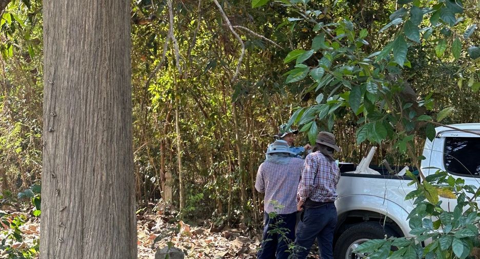 For sale land in Doi Saket, Chiang Mai