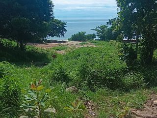 出售 土地 在 Koh Phangan, 素叻