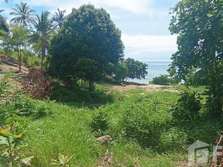出售 土地 在 Koh Phangan, 素叻