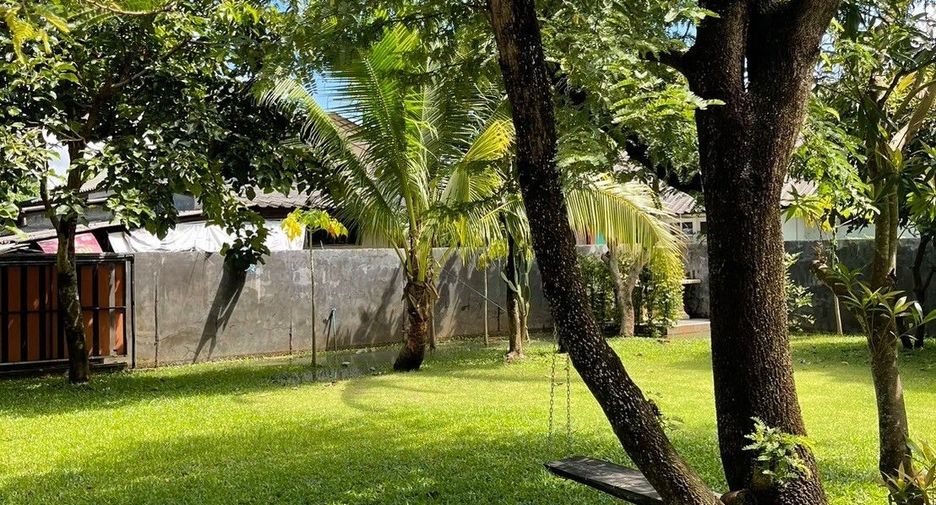 For sale and for rent 4 bedrooms villa in Saraphi, Chiang Mai