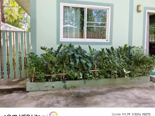 For rent 2 bedrooms house in Mae Rim, Chiang Mai