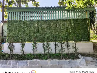 For Rent 2 Bedroom House In Mae Rim, Chiang Mai