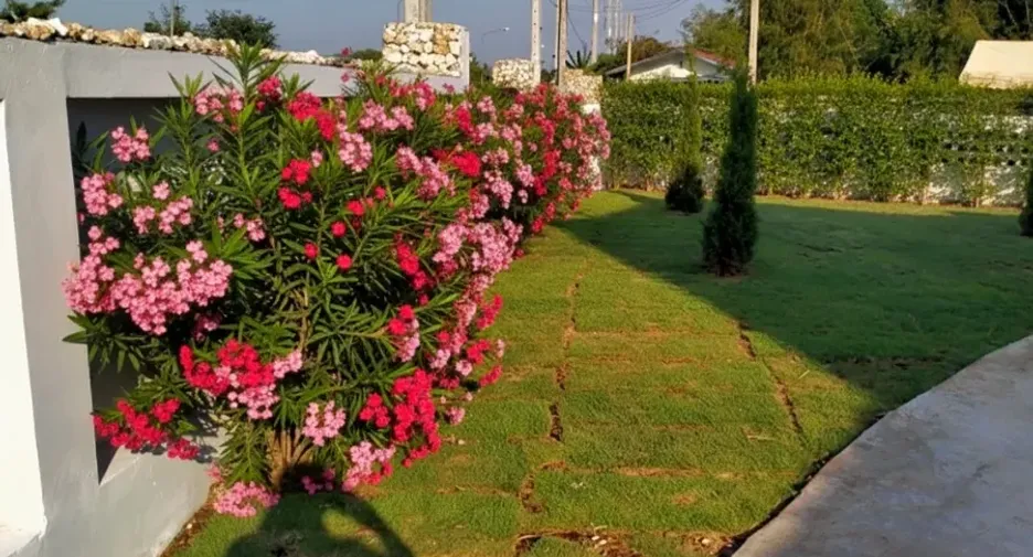For sale 5 bedrooms house in Chaloem Phra Kiat, Saraburi