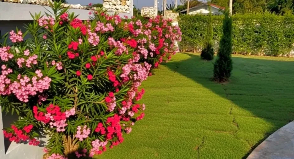 For sale 5 bedrooms house in Chaloem Phra Kiat, Saraburi