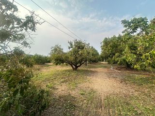 Terreno en venta en Hang Dong, Chiang Mai