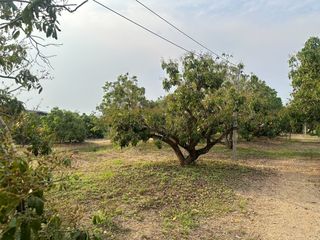 Terreno en venta en Hang Dong, Chiang Mai