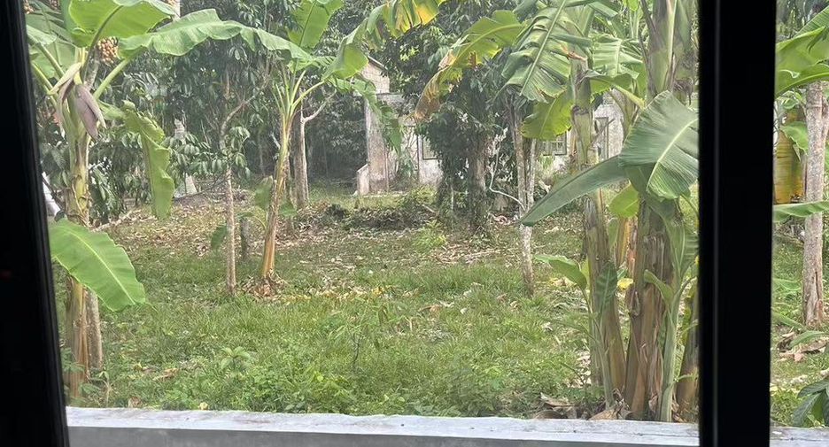 For rent 2 bedrooms house in Ko Samui, Surat Thani