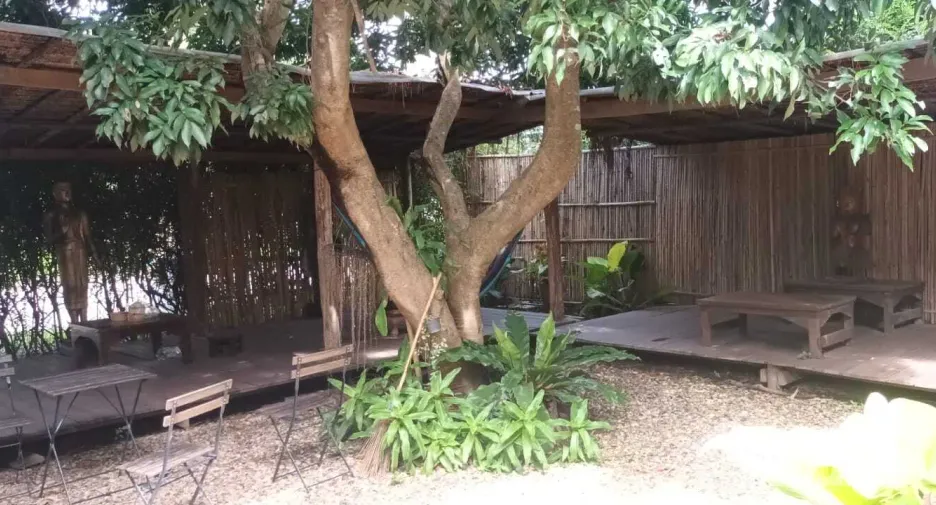 For sale 4 bedrooms retail Space in Pai, Mae Hong Son