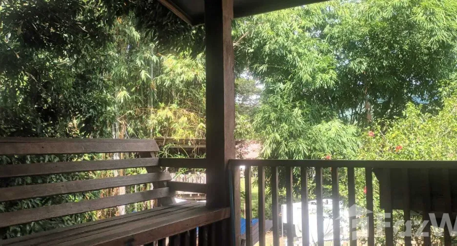For sale 4 bedrooms retail Space in Pai, Mae Hong Son