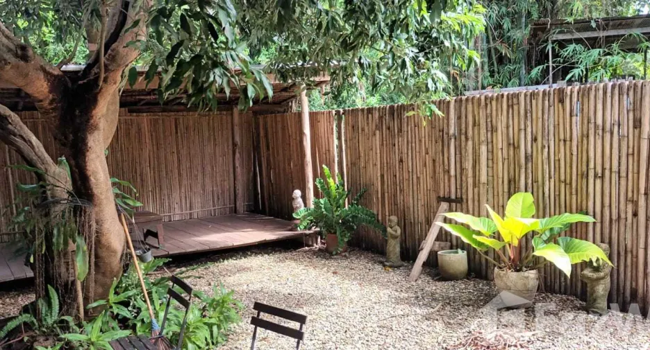 For sale 4 bedrooms retail Space in Pai, Mae Hong Son