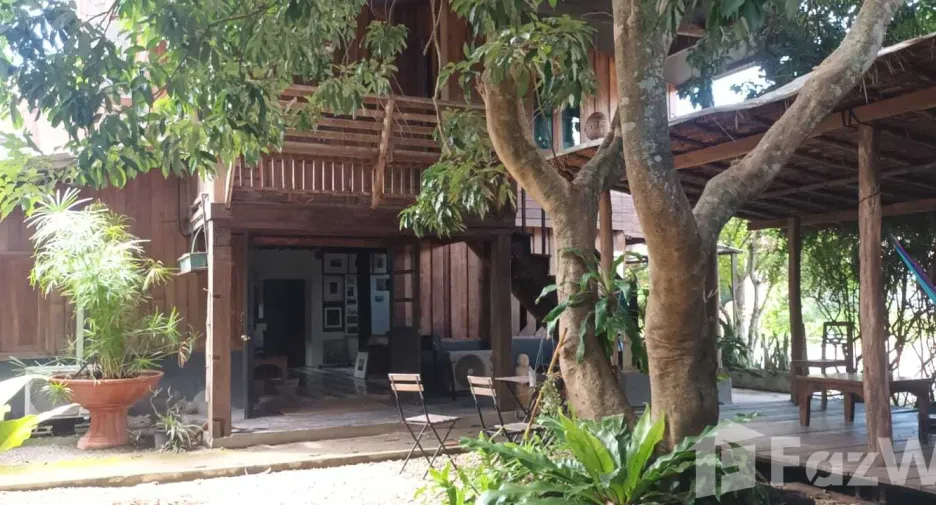 For sale 4 bedrooms retail Space in Pai, Mae Hong Son