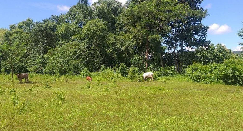 For sale land in San Kamphaeng, Chiang Mai