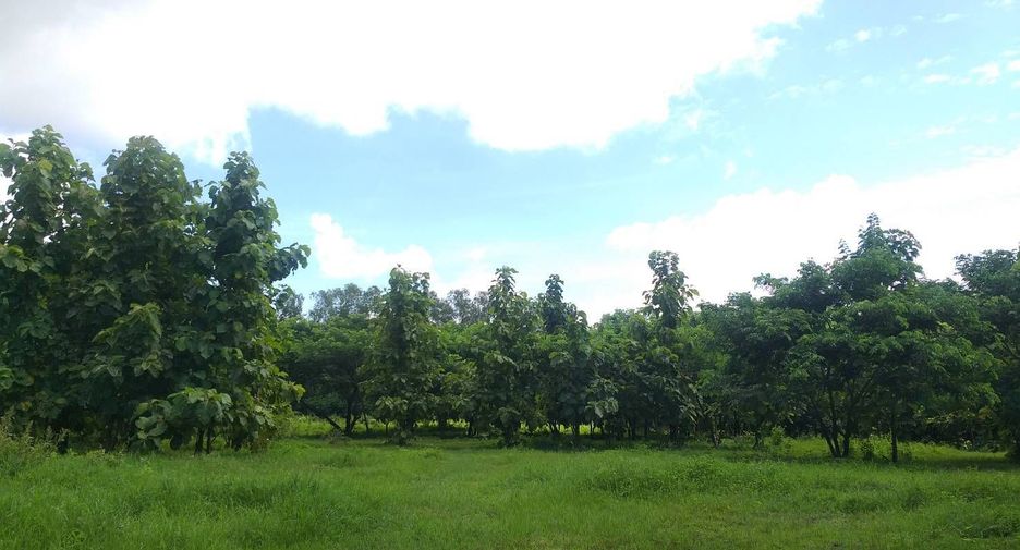 For sale land in San Kamphaeng, Chiang Mai