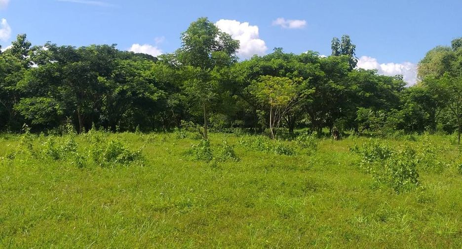 For sale land in San Kamphaeng, Chiang Mai