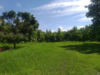 For sale land in San Kamphaeng, Chiang Mai