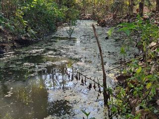 For sale land in San Kamphaeng, Chiang Mai