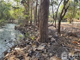 For sale land in San Kamphaeng, Chiang Mai