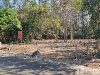 For sale land in San Kamphaeng, Chiang Mai