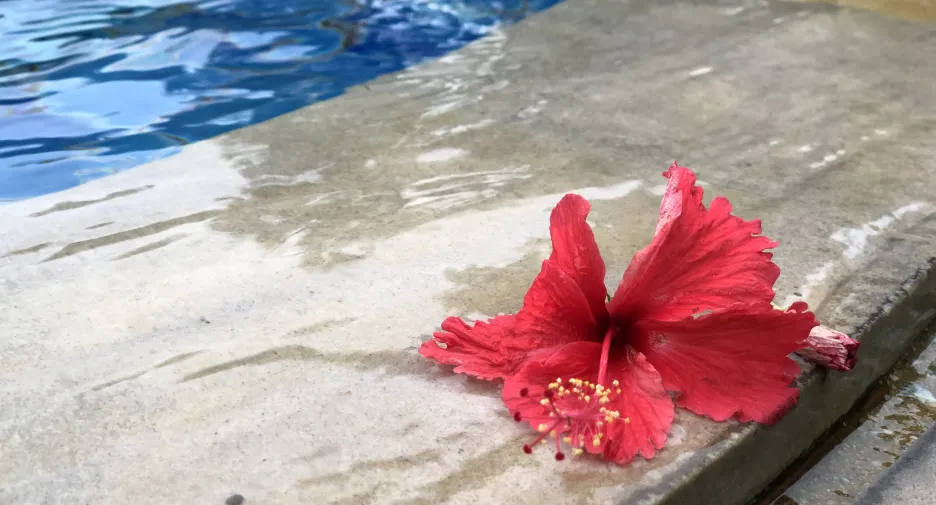 For sale and for rent 4 bedrooms house in Bang Phli, Samut Prakan
