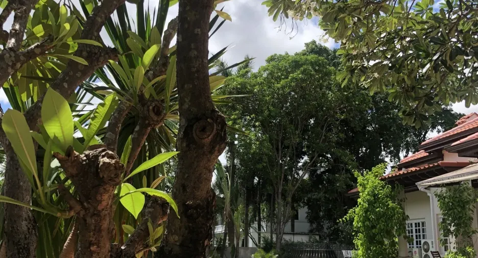 For sale and for rent 4 bedrooms house in Bang Phli, Samut Prakan