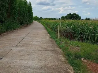 For sale land in Si Maha Phot, Prachin Buri