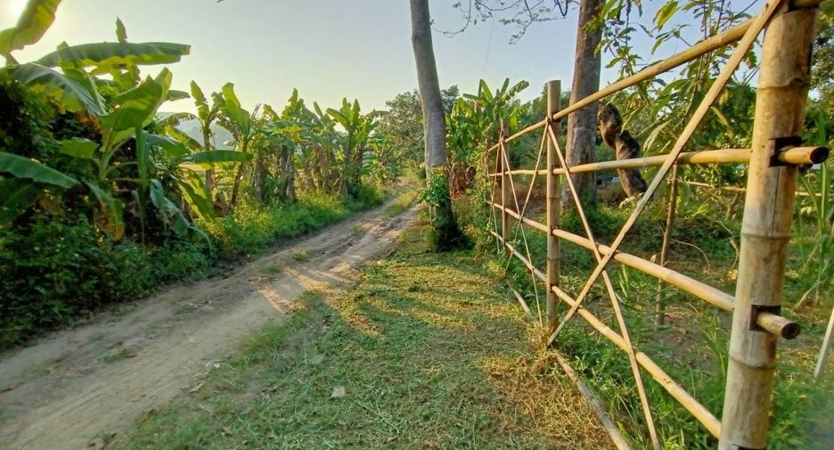 Haus zum Kauf mit 3 Zimmer in Mae Taeng, Chiang Mai
