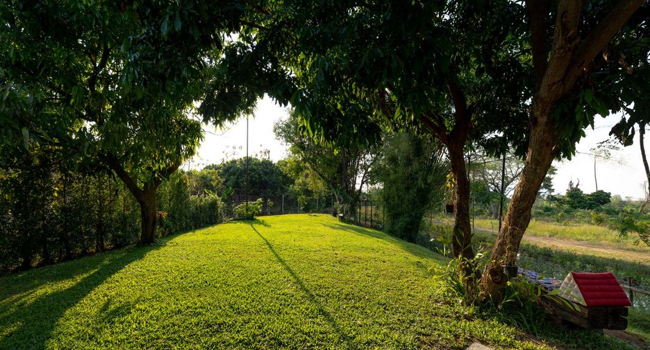 For sale and for rent 4 bedrooms villa in Saraphi, Chiang Mai