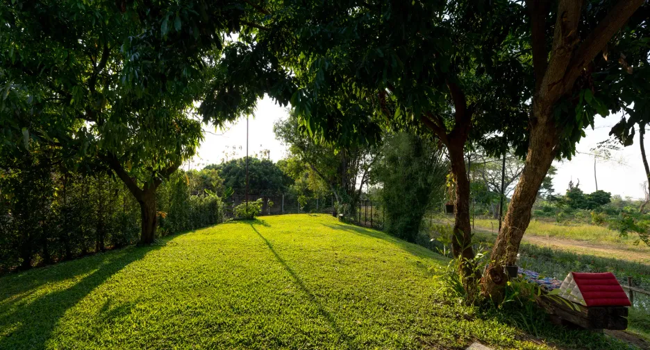 For sale and for rent 4 bedrooms villa in Saraphi, Chiang Mai