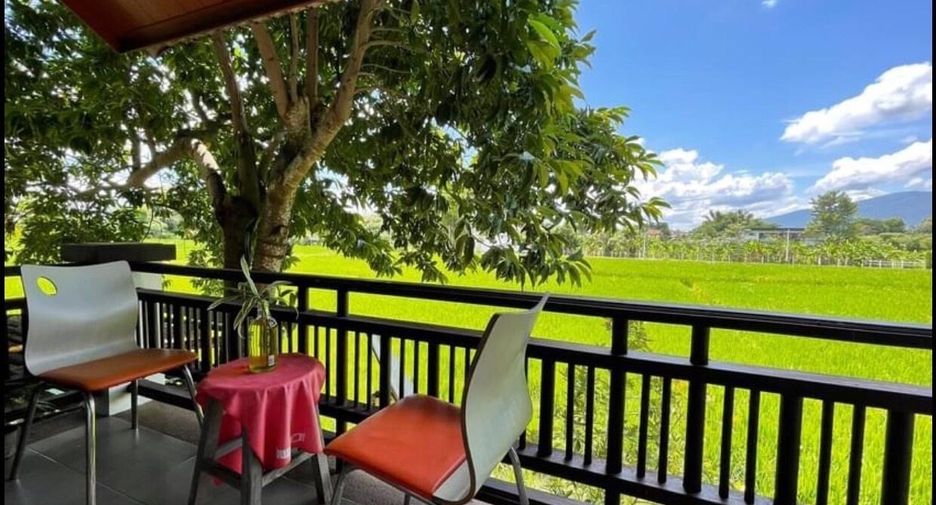 For sale and for rent 5 bedrooms house in Mae Rim, Chiang Mai