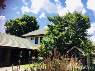 For sale and for rent 5 bedrooms house in Mae Rim, Chiang Mai