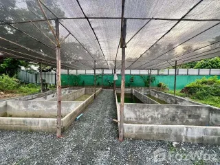 For sale and for rent 2 bedrooms house in San Kamphaeng, Chiang Mai