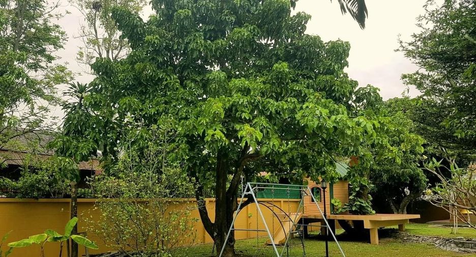 For rent 4 bedrooms house in Mueang Chiang Mai, Chiang Mai