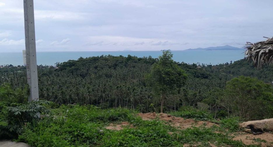 Grundstück zum Kauf in Ko Samui, Surat Thani