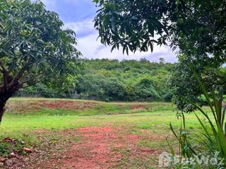 For sale land in Pran Buri, Prachuap Khiri Khan