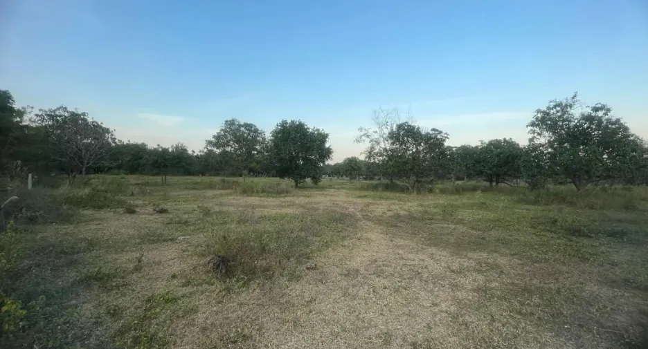 Grundstück zum Kauf in Sam Roi Yot, Prachuap Khiri Khan