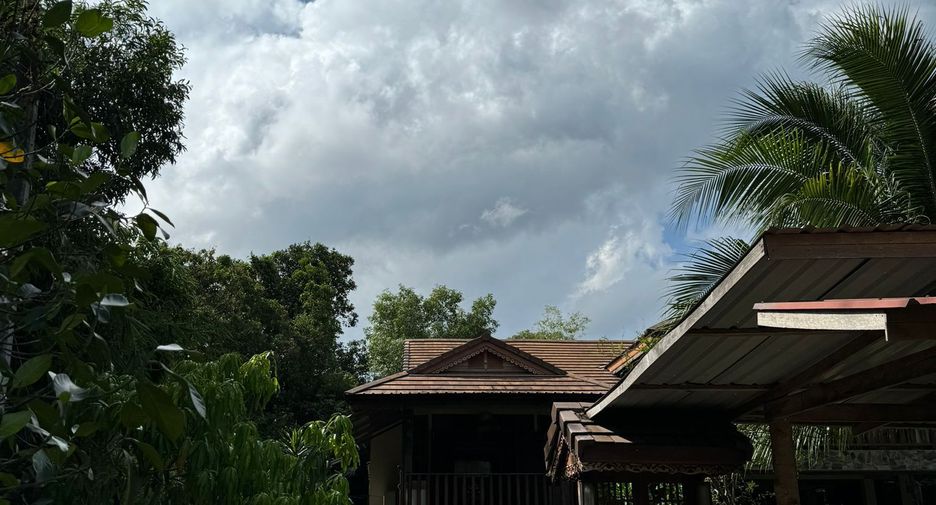 For sale and for rent 3 bedrooms house in Ko Samui, Surat Thani