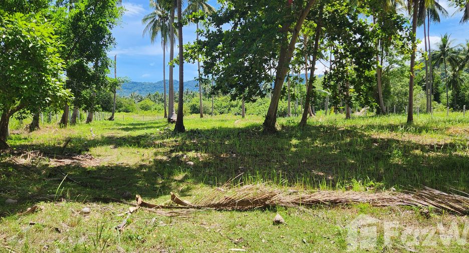 For sale land in Ko Samui, Surat Thani