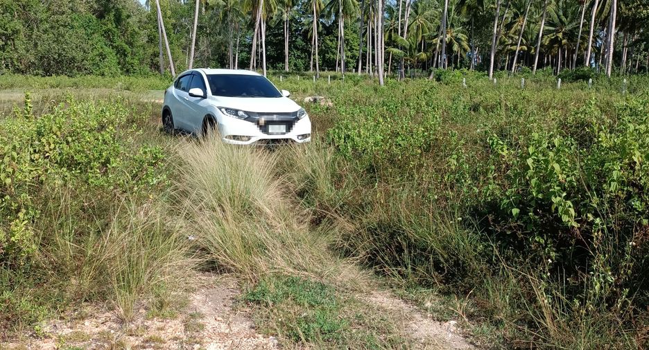 For sale land in Ko Samui, Surat Thani