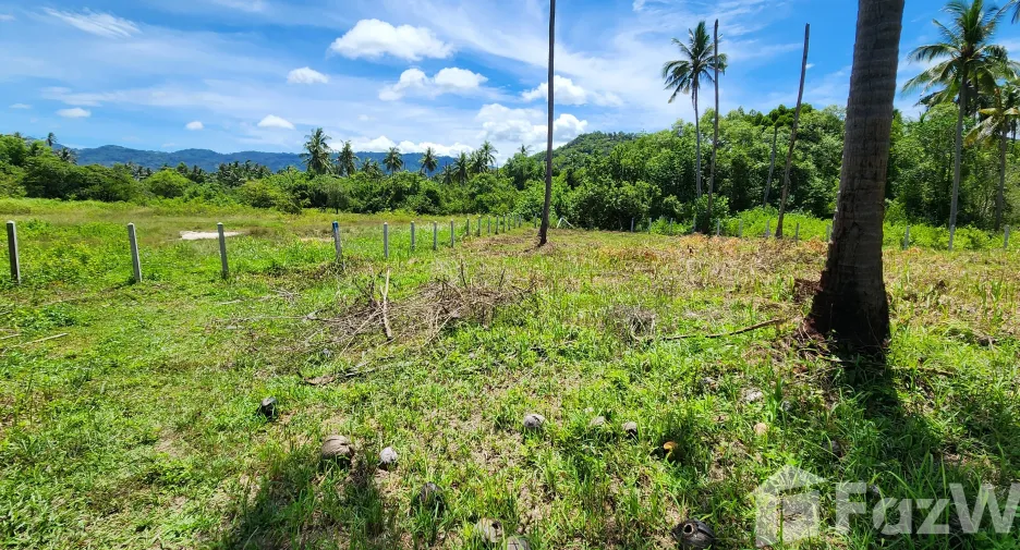 For sale land in Ko Samui, Surat Thani