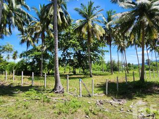 For sale land in Ko Samui, Surat Thani