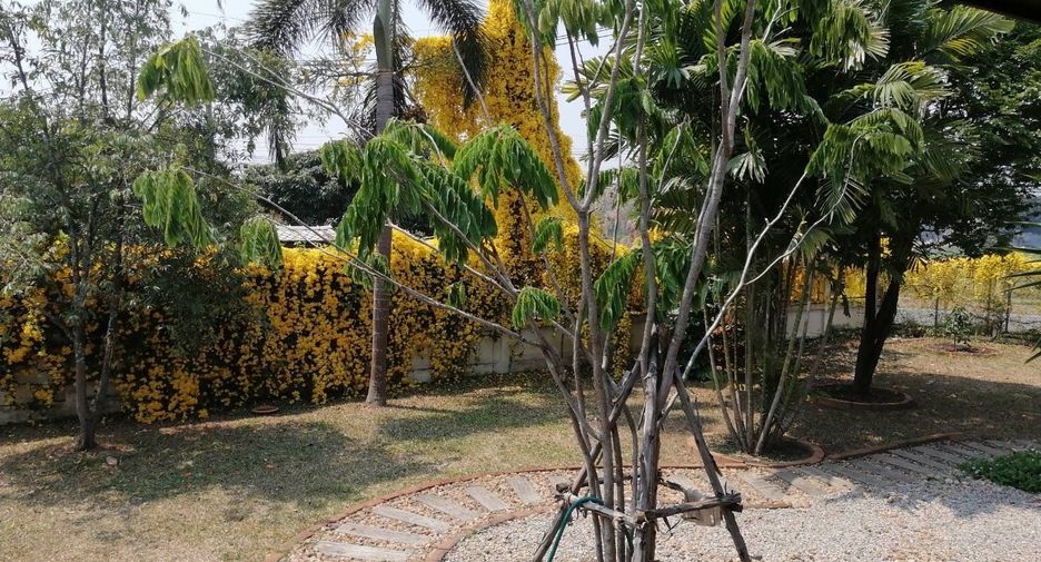 For sale 1 bed house in Mae Rim, Chiang Mai