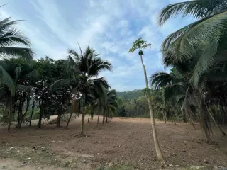 Grundstück zum Kauf in Ko Samui, Surat Thani