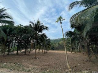 For sale land in Ko Samui, Surat Thani
